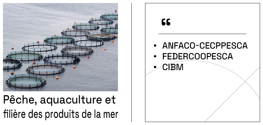 Partners-Pesca-FR